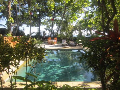 Zwembad, Villa Selina in Singaraja