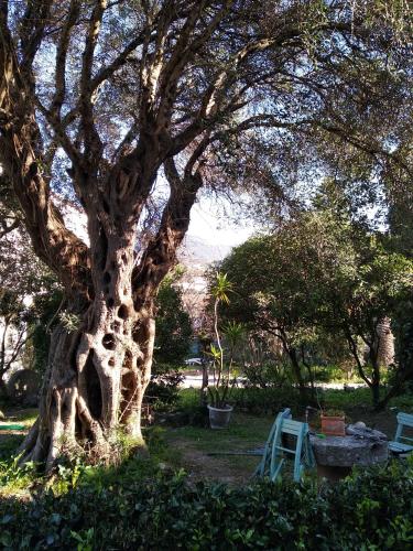  Terra Nova Ipsos Beach Apartment in Ýpsos