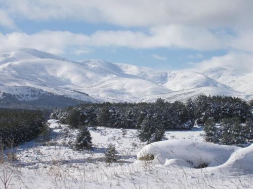 Tinao de Gredos