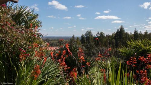 Monte Horizonte - Eco & Nature - Private Villas & Holiday Homes - main image