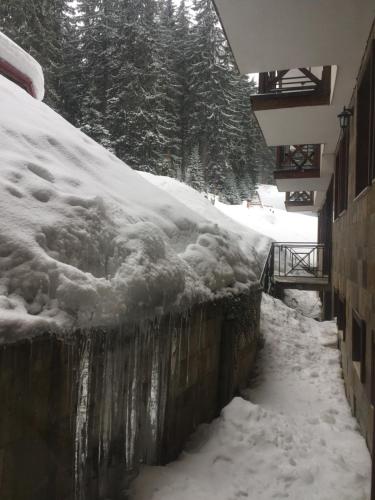 The Castle Complex - Apartment 401, Pamporovo (foto 6)
