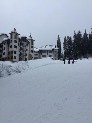The Castle Complex - Apartment 401, Pamporovo (foto 4)
