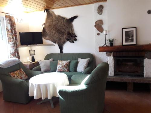 Zielone Domki in Nowy Zyzdrój