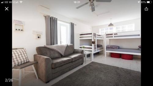 The Shed 5