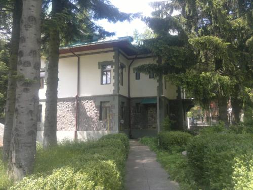 Omgivelser, Vila Acvila in Sinaia sentrum