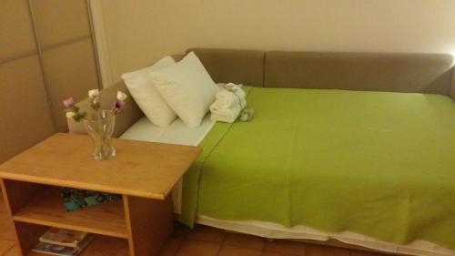 Comfortable garden Apt near Vouliagmeni beach, Atény (fotografie 8)