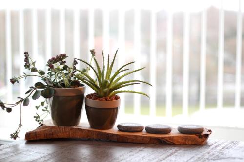  Bsauna & Wellness in Brügge