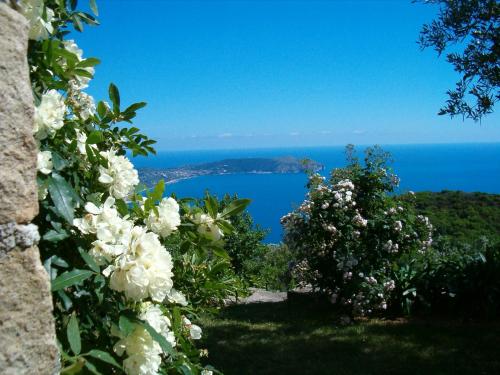 Pietra Fiorita - Apartment - Pisciotta