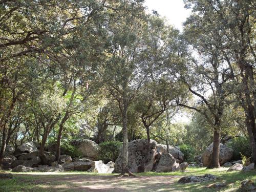 Camping La Vetta - image 8