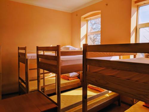 Bunk Bed in Mixed Dormitory Room