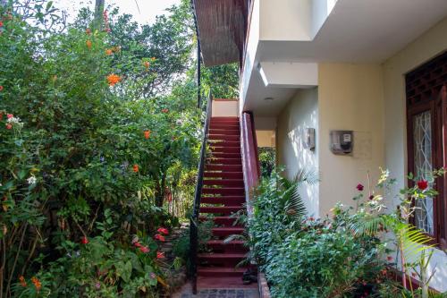 Tenora Apartment