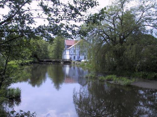 Mühlenteich in der Oldenstädter Wassermühle in Uelzen, Deutschland