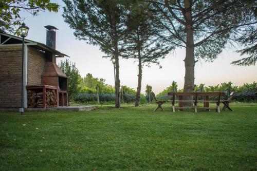 Finca Vinas de Lujan, Casa entre vinedos organicos, camino del vino