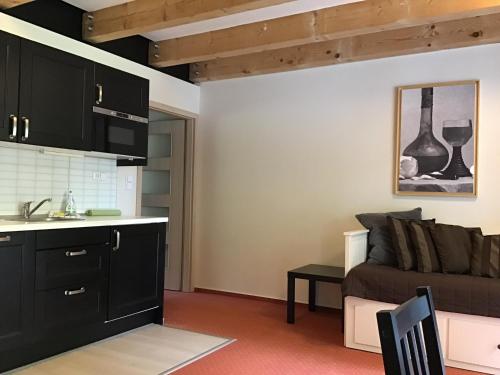 Dapur, Apartmány Bella Vista Lipno (Apartmany Bella Vista Lipno) in Frymburk