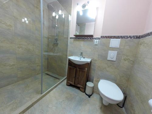 Casa Melisa Sibiu - image 12