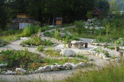 Oase Berta - image 8