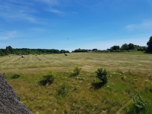 Fewo 18 im Strandhaus Lobbe mit Balkon, Lobbe (Foto 6)