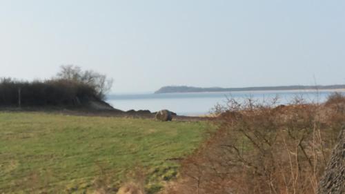 Fewo 18 im Strandhaus Lobbe mit Balkon, Lobbe (Foto 9)