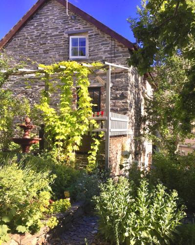 Kert, The Attic Apartment, Quay Street Studios Cardigan in Cardigan