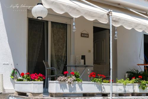  Villa Alexandros Di Mare in Palaió Tsiflíki