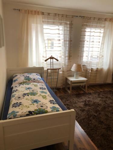 City Apartment in Nürnberg Center, Norimberk (fotografie 10)