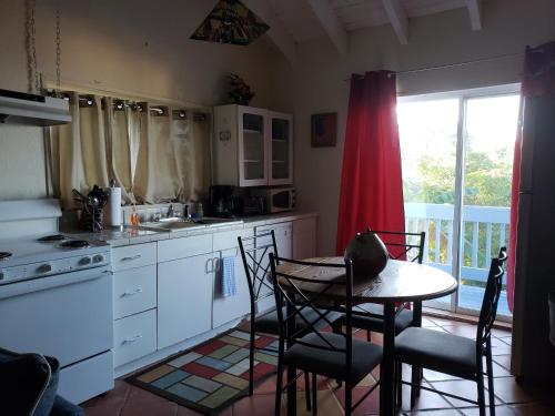 Kitchen, The Cottage at Villa Indigo in Charlotte Amalie