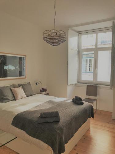 Baixa-Chiado Cosy 5 bedrooms, Lisabon (fotografie 2)
