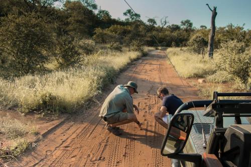 Parsons Hilltop Safari Camp