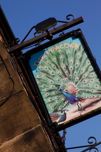 The Peacock - image 12