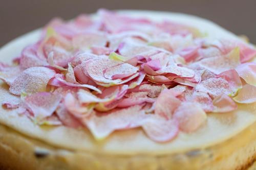 Europa Hotel Design Spa 1877 - image 3