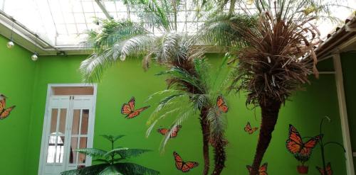 Casa Mayela Guest House - image 3