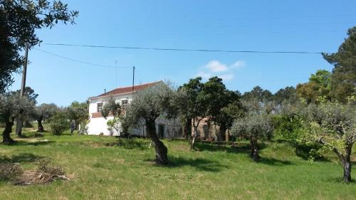  charmant en vrijstaand vakantiehuis, Ferienwohnung in Monte Novo