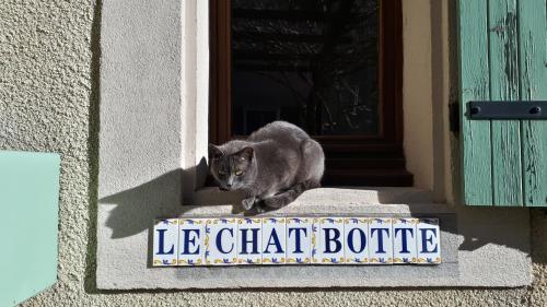Le Chat Botté - Vankantiehuis in Languedoc-Roussillion chambre d'hôte Lauraguel