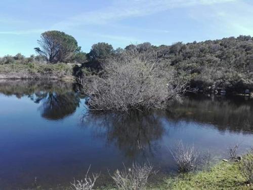 Azienda Agricola Li Nalboni