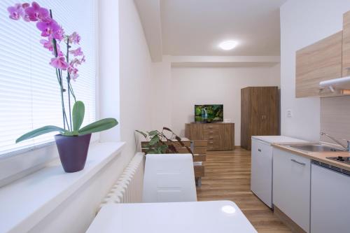 Faciliteiten, Agro Complex Apartments in Nitra