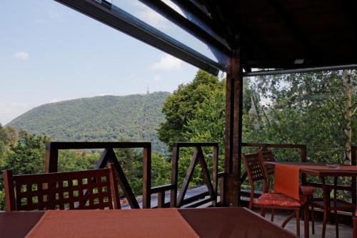 Pension Stejeris - image 11