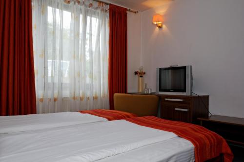 Pension Stejeris - image 6