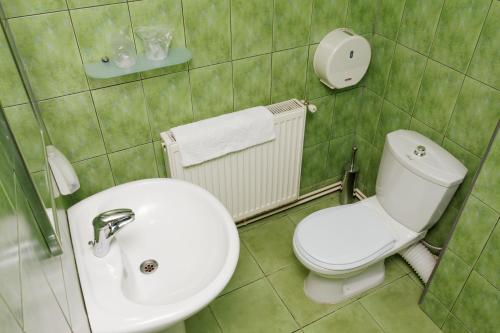 Pension Stejeris - main image