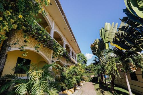Turtle Bay Dive Resort