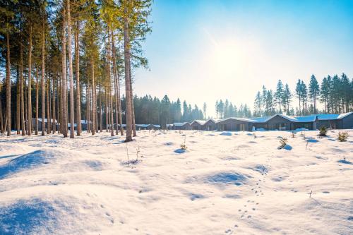 Center Parcs Park Allgäu Center Parcs Park Allgäu