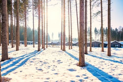 Center Parcs Park Allgäu Center Parcs Park Allgäu