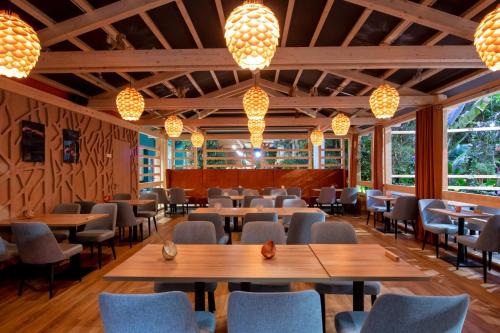 Center Parcs Park Allgäu Center Parcs Park Allgäu