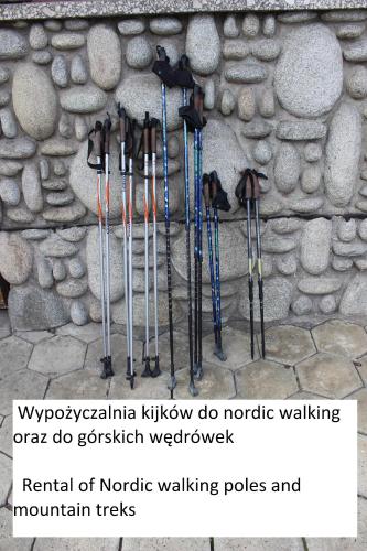 Willa Pod Zielonym Wierchem obrázok