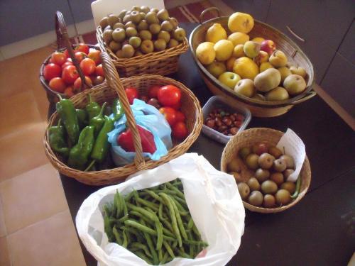 Budiño de Serraseca - image 2