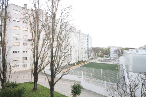 Olive Grove Apartment