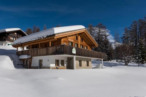 Domus Major Domus Major