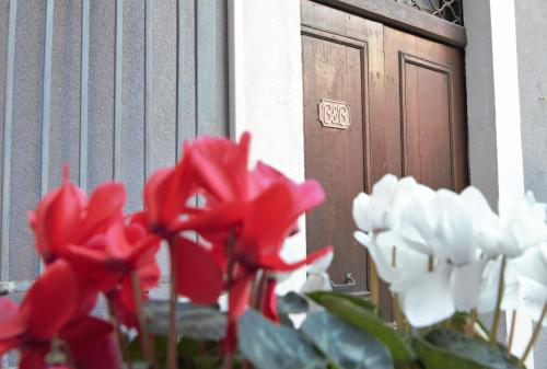 Išorė, Cataneasy Rooms in Katanija