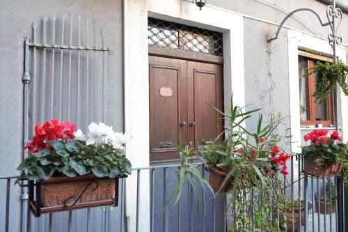 Išorė, Cataneasy Rooms in Katanija