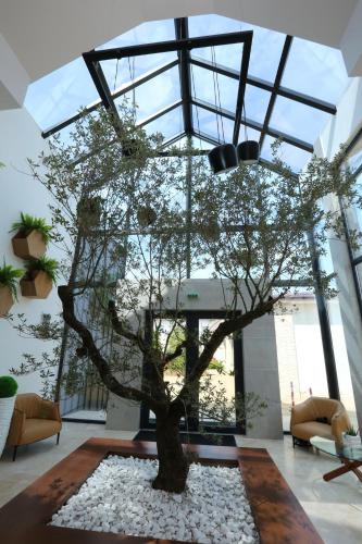 入口, Valentino Rooms in 福克沙尼