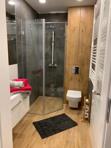 Apartament studio z widokiem na Odrę Bulwary Książęce, Wroclaw (foto 7)